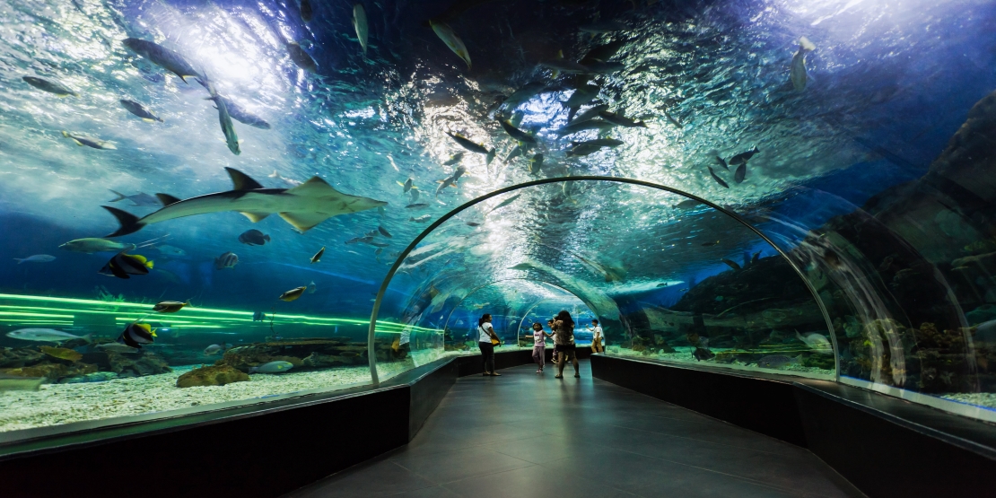 Global Suspended Aquarium