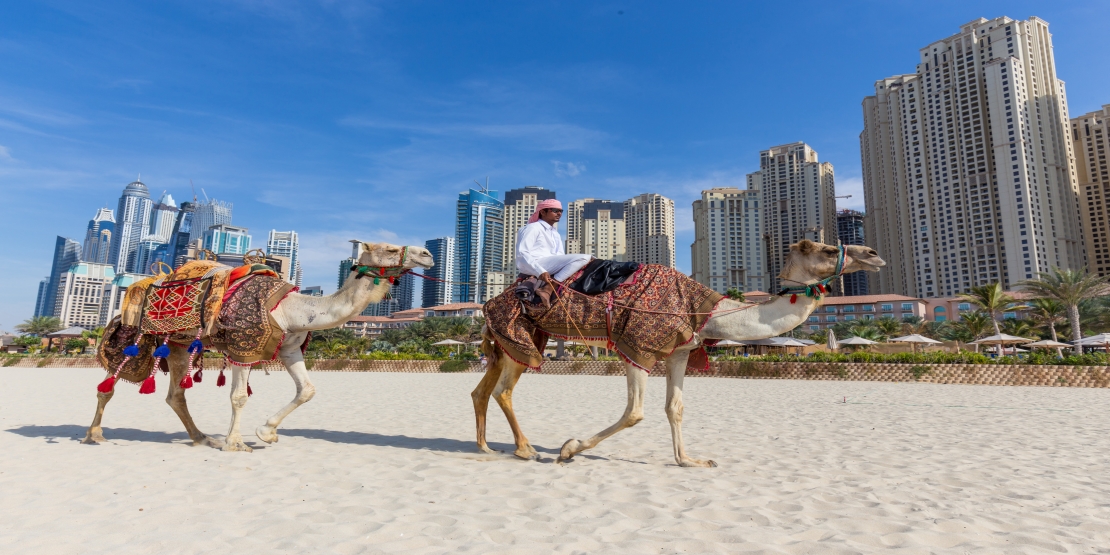 Dubai Desert Safari