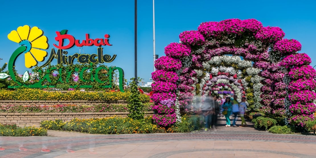 Dubai Miracle Garden