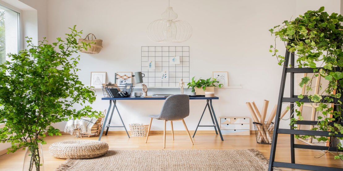 Spruce up maid's room into a Study Room