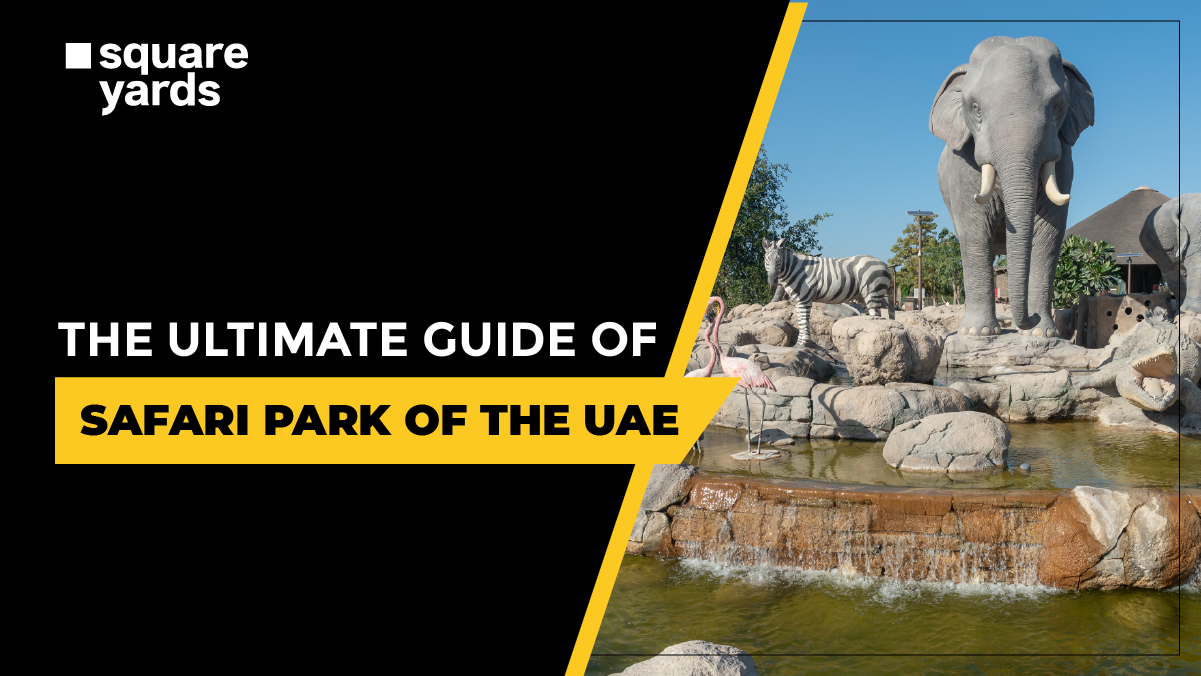 The Ultimate Guide of Sharjah Safari Park of the UAE