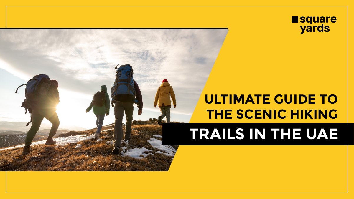 best hiking trails in the UAE