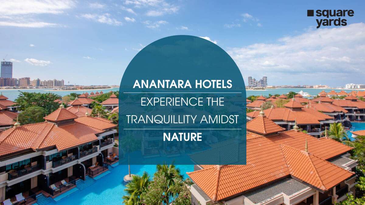 Anantara Hotels in the UAE Experience the tranquillity amidst nature