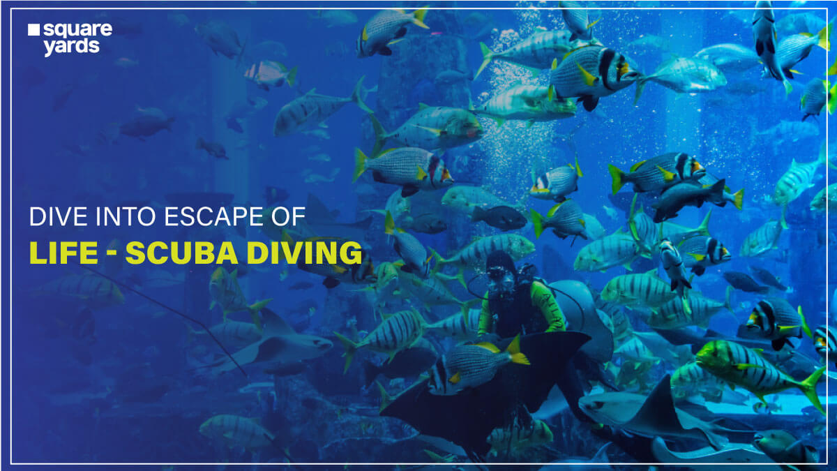 Places to visit for Scuba diving in Dubai