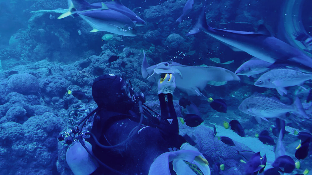 Scuba-Diving in Atlantis, the Palm