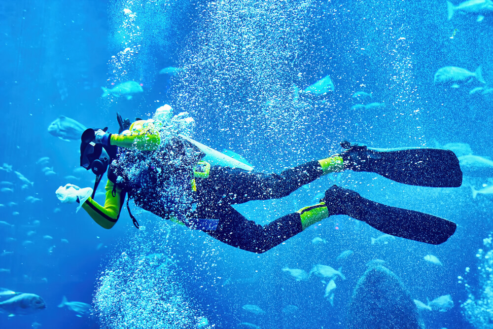 Explore Scuba Diving