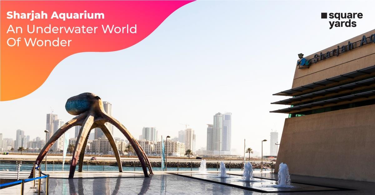 Sharjah Aquarium : An Underwater World of Wonder