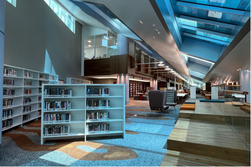 The Young Adults’ Library