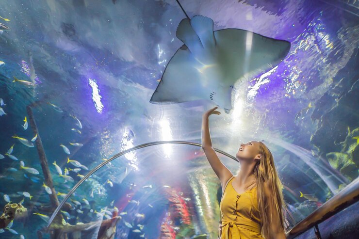 Tips for visiting Sharjah Aquarium