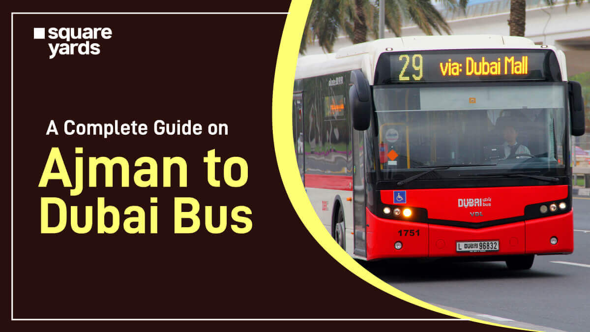 A Complete Guide On Ajman To Dubai Bus