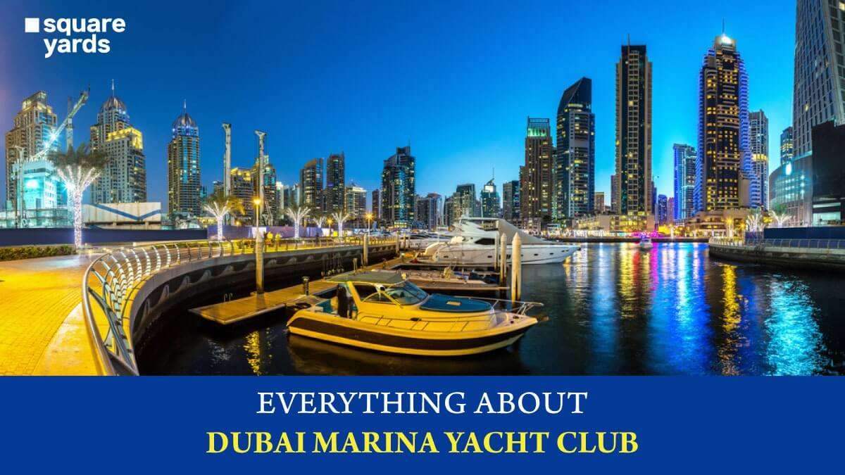 All about the Dubai Marina Yacht Club