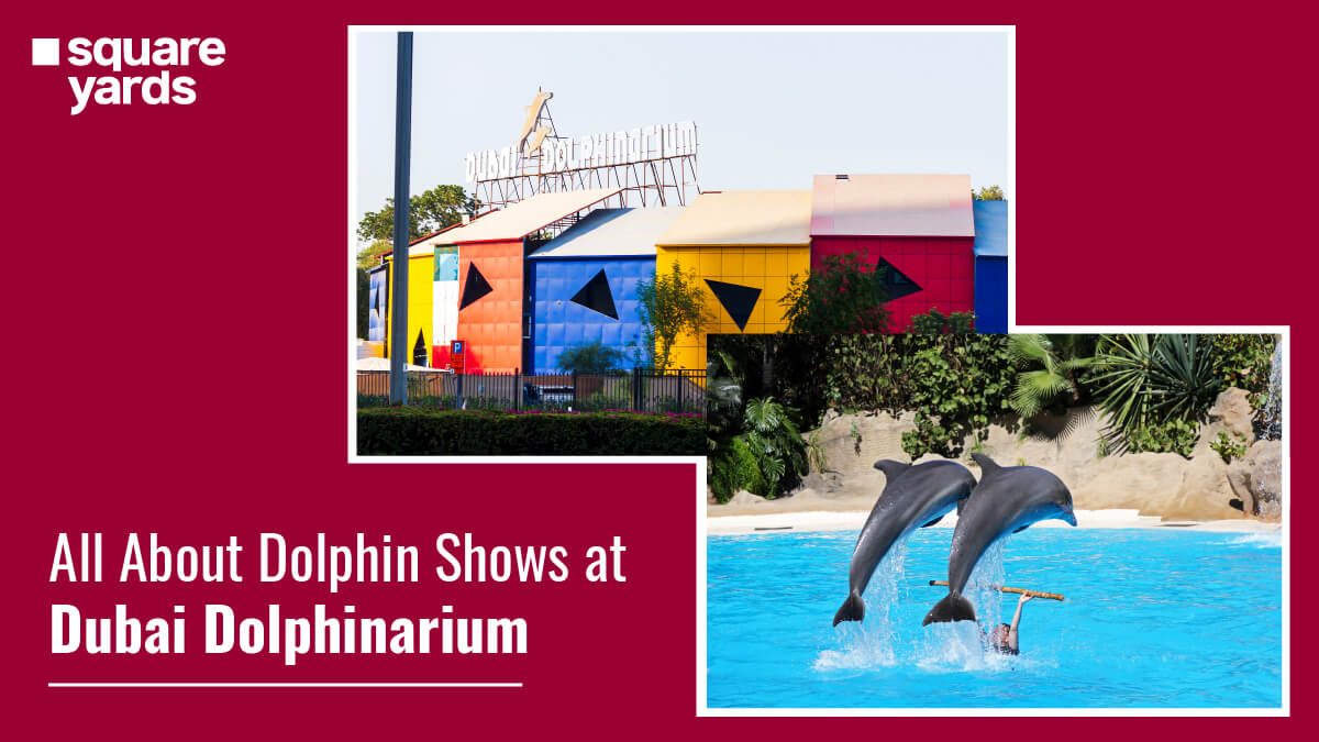 Enjoy Fabulous Dolphin Show at Dubai Dolphinarium