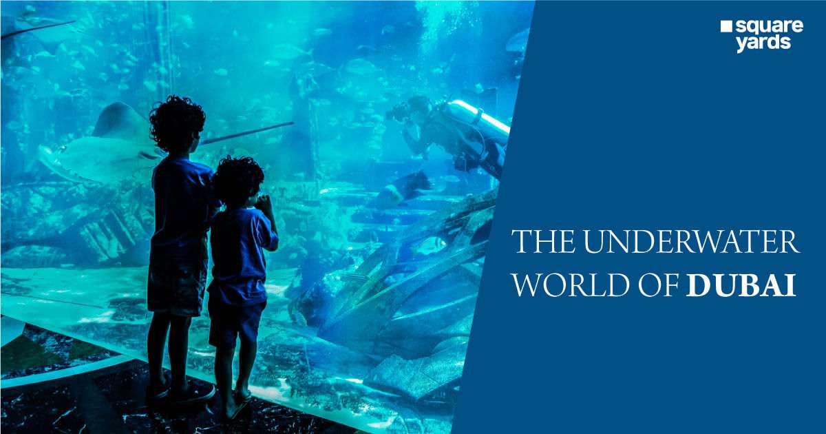 The Underwater Wonders of Dubai