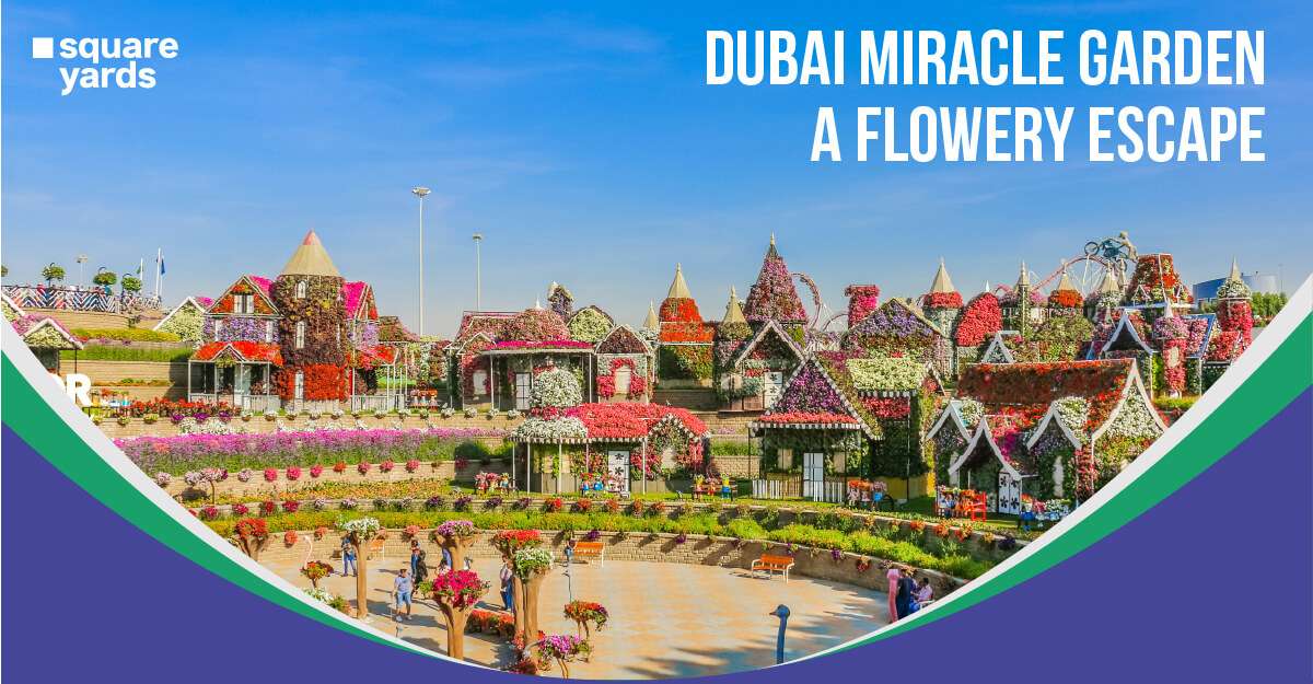 Dubai Miracle Garden Experience a Flowery Adventure