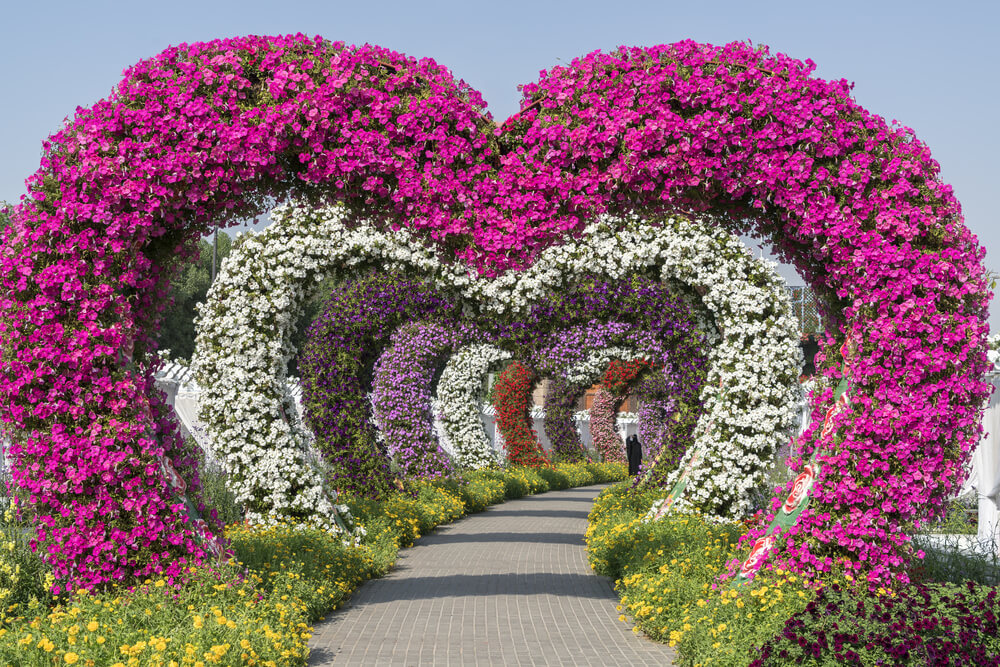 Heart Tunnel