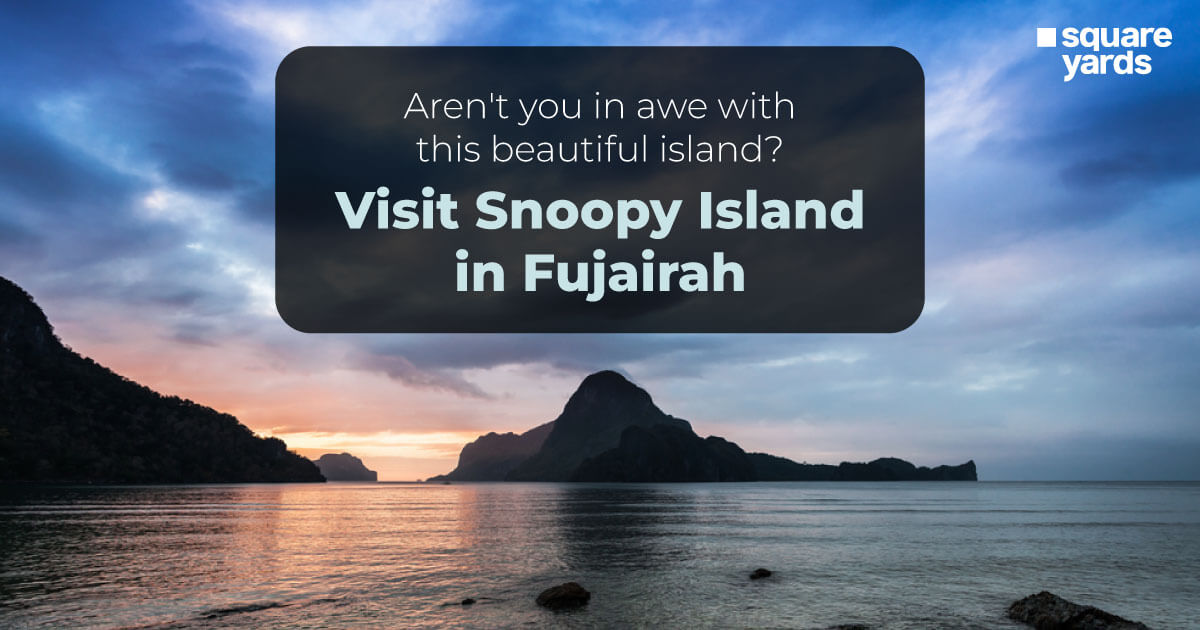 Snoopy Island near Fujairah – Things to Know Before You Visit