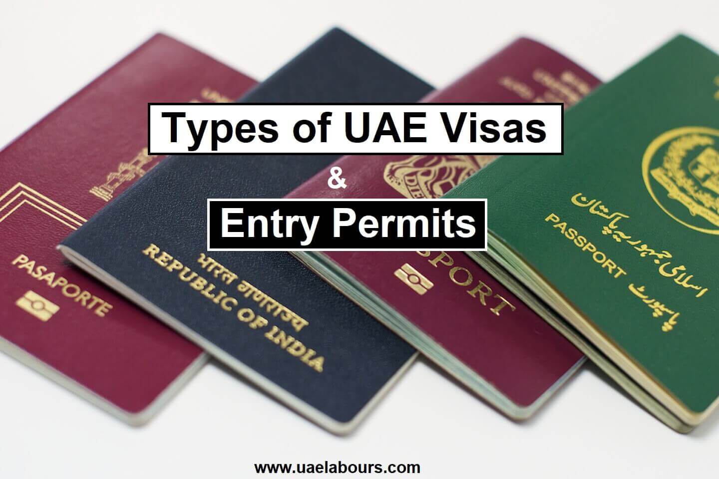 Types of UAE Residence Visas