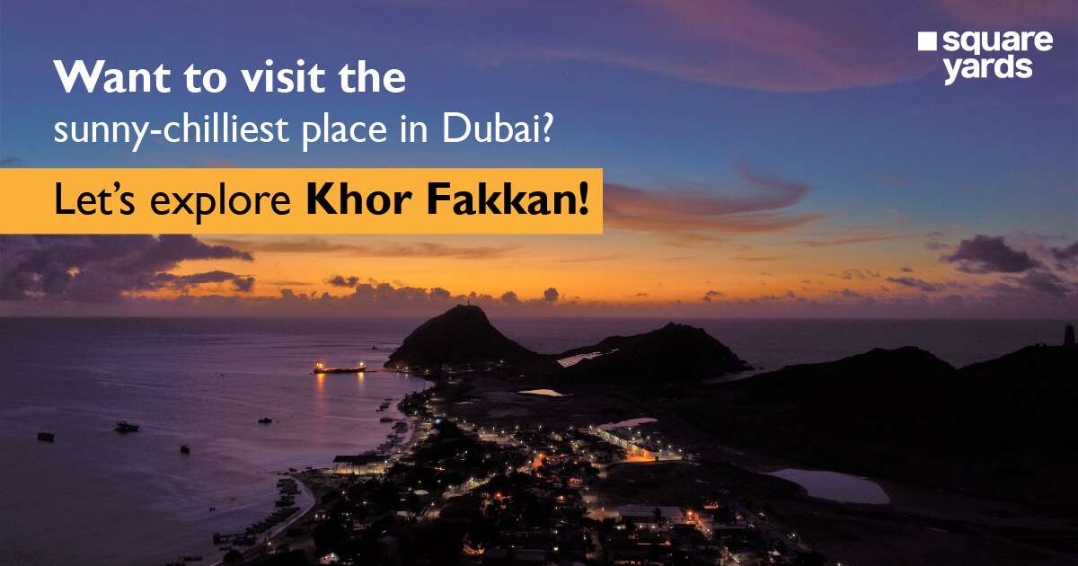 Visit Khor Fakkan 12 things to Experience and Explore