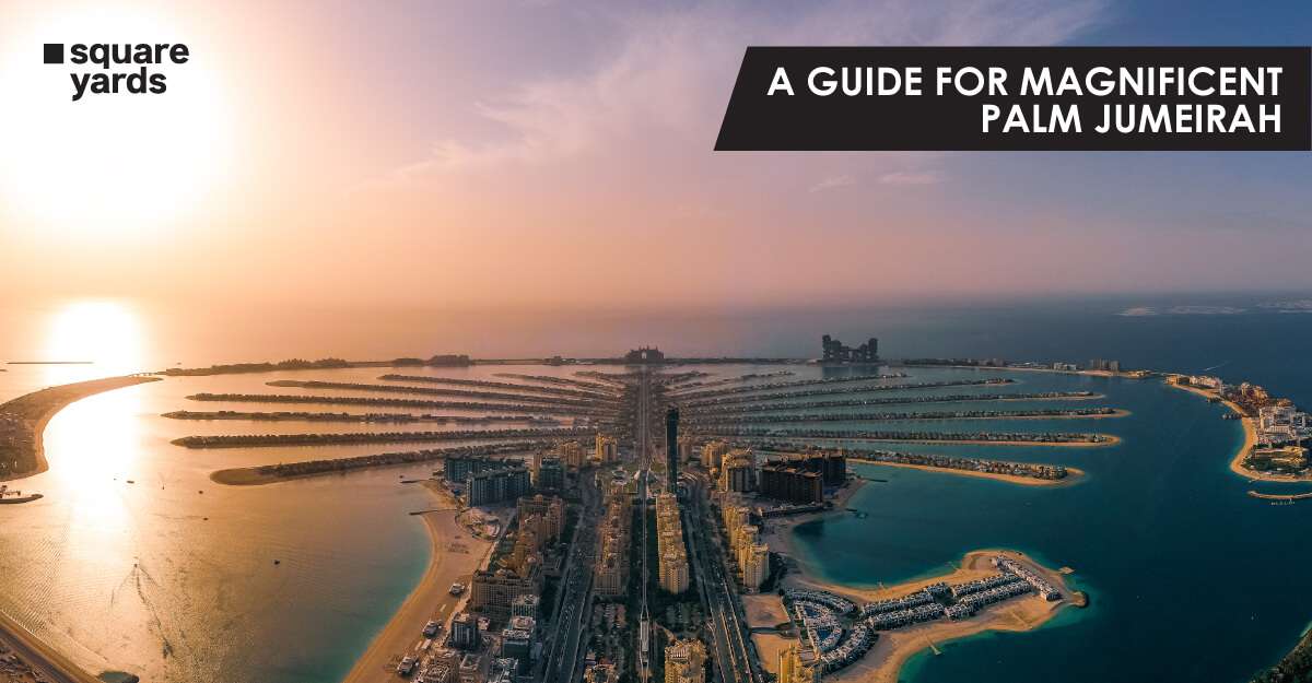 Getting to Palm Jumeirah, Dubai Best Time & How to Reach