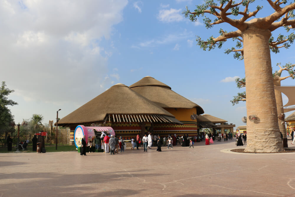 Arabian Desert Safari