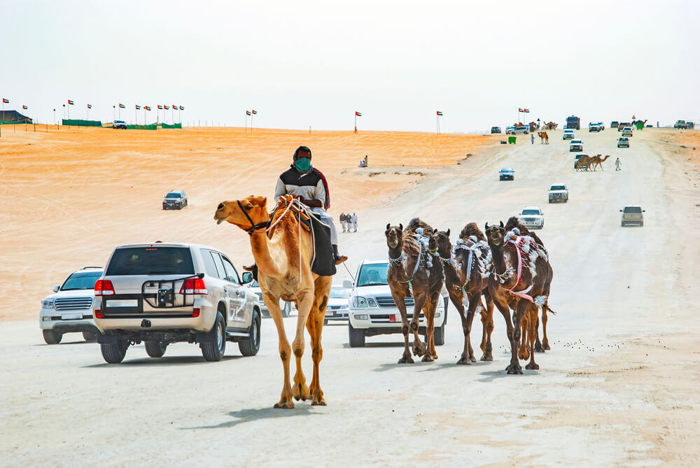 Al Dhafra Festival Location