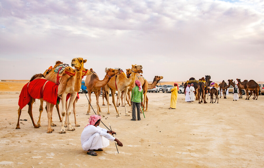 Al Dhafra Festival