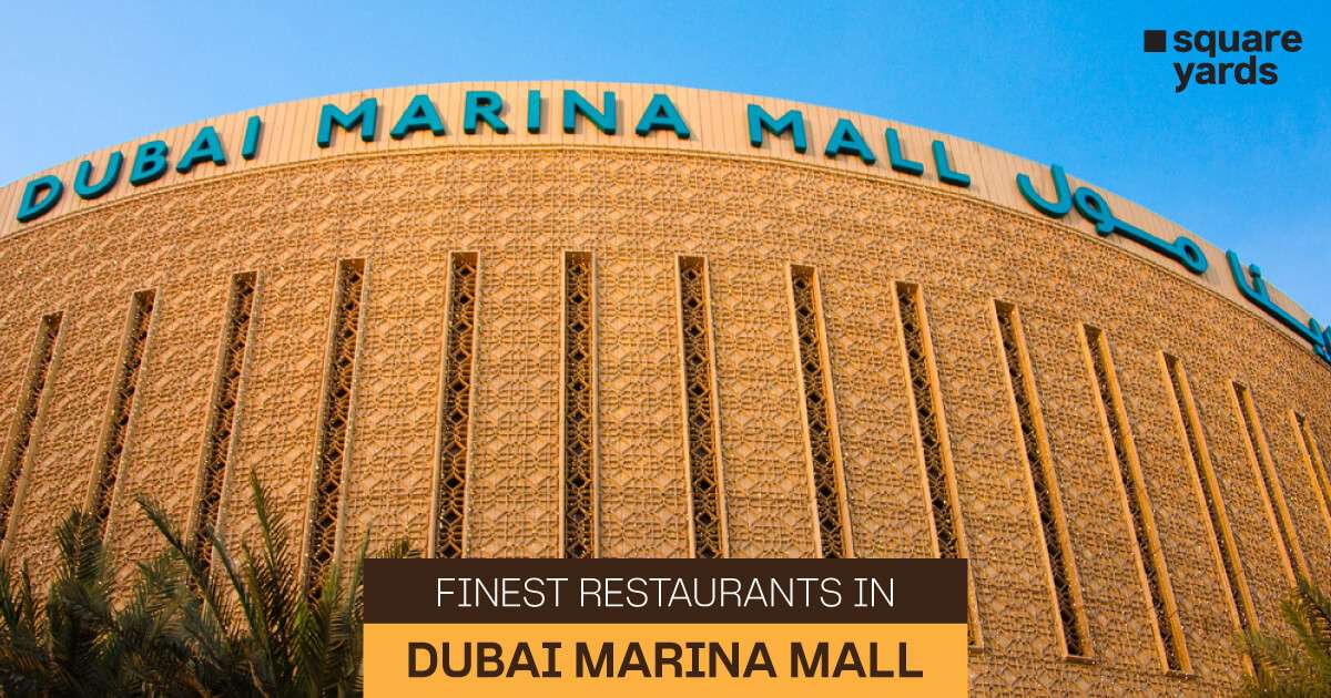 Foodie Alert Top Restaurants in Dubai Marina Mall