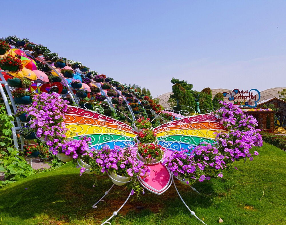 The Butterfly Garden