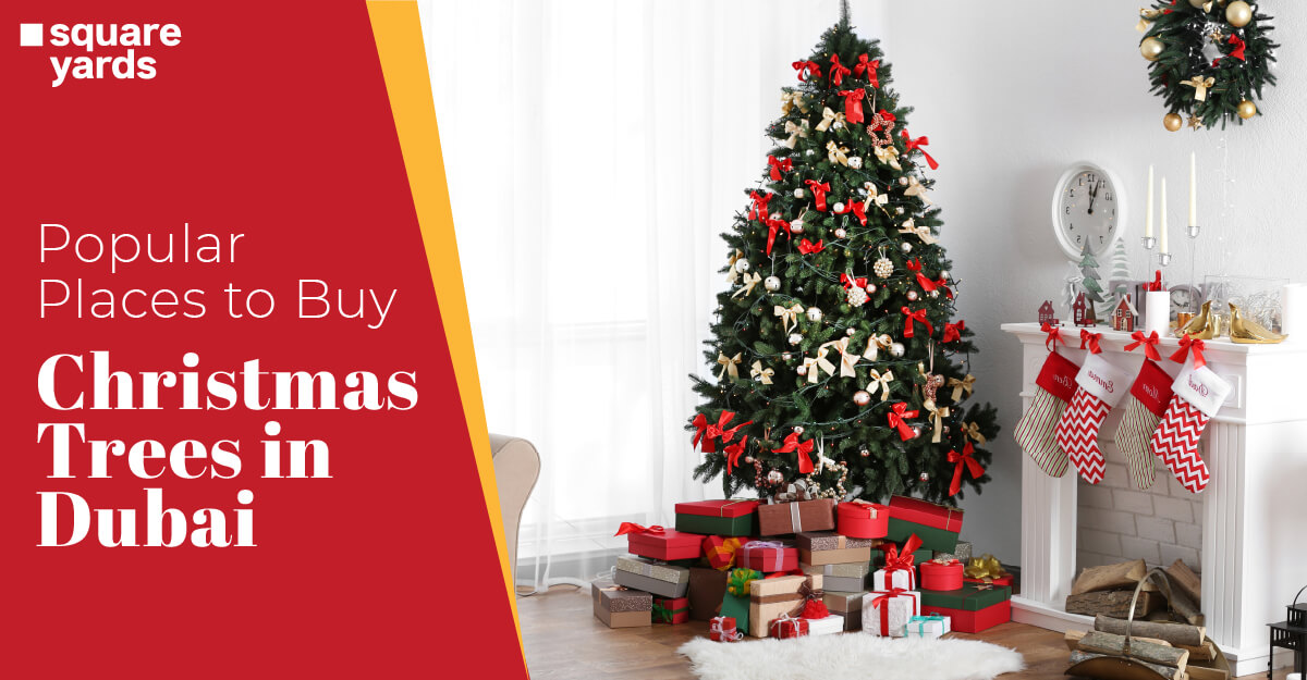 Top Places To Buy Christmas Trees in Dubai