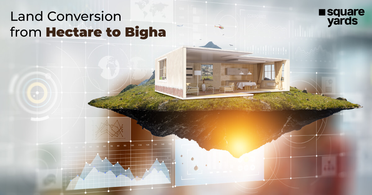 Hectare to Bigha (Ha to Bigha) Conversion Online