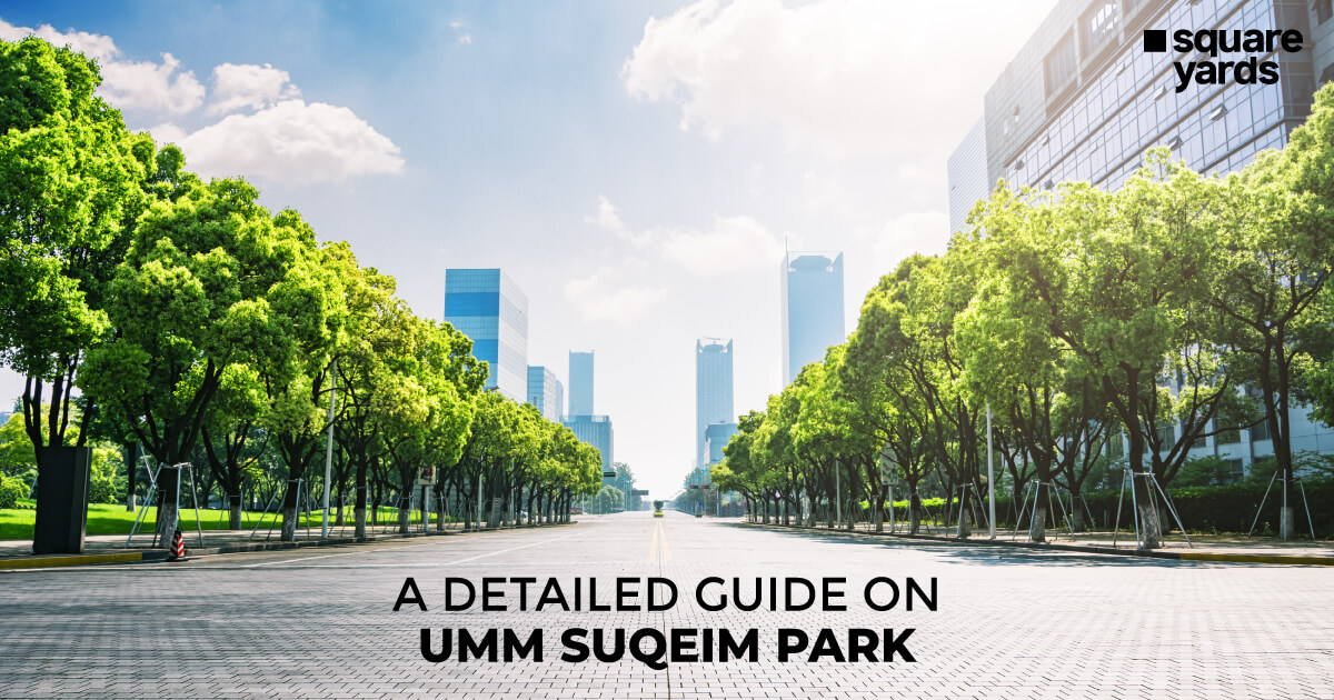 Enjoy The Beach Breeze at Umm Suqeim Park