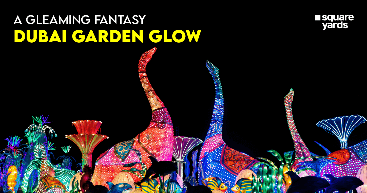 Enjoy a Starry Night at the Dubai Garden Glow