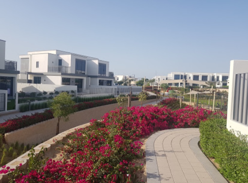 Maple 3 Dubai Hills Estate Area Guide