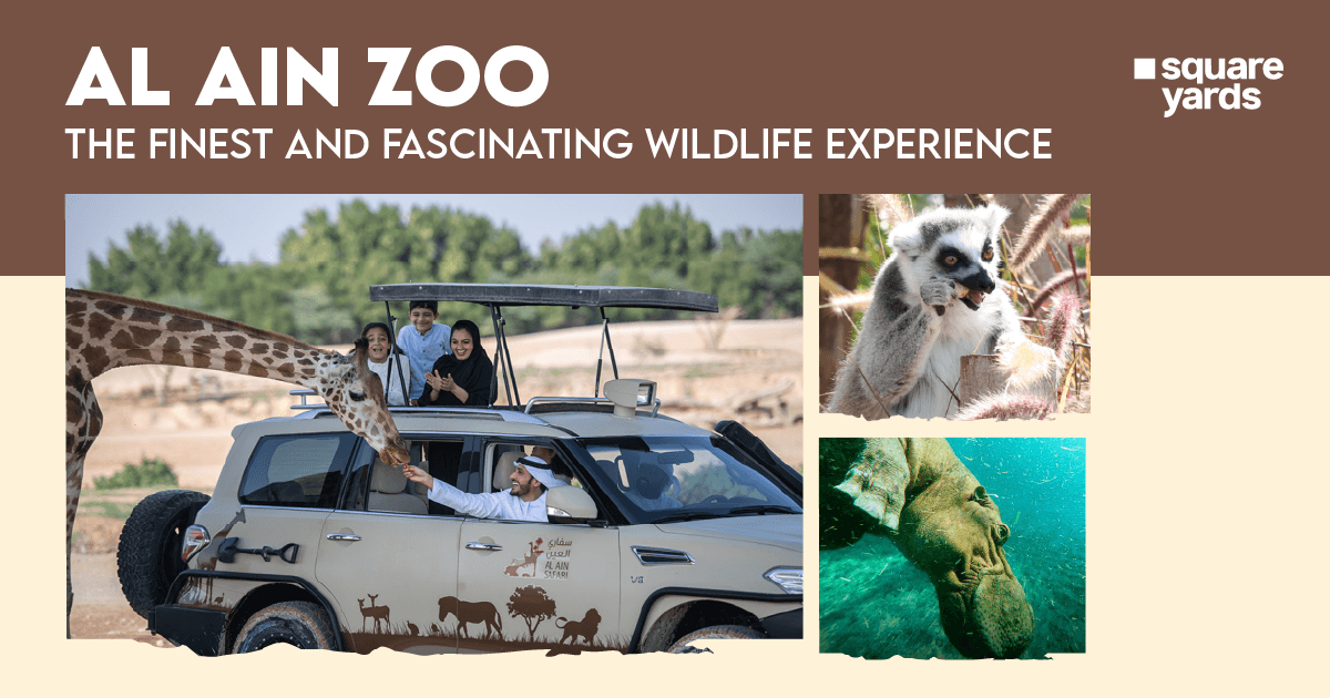Al Ain Zoo: The Finest And Fascinating Wildlife Experience