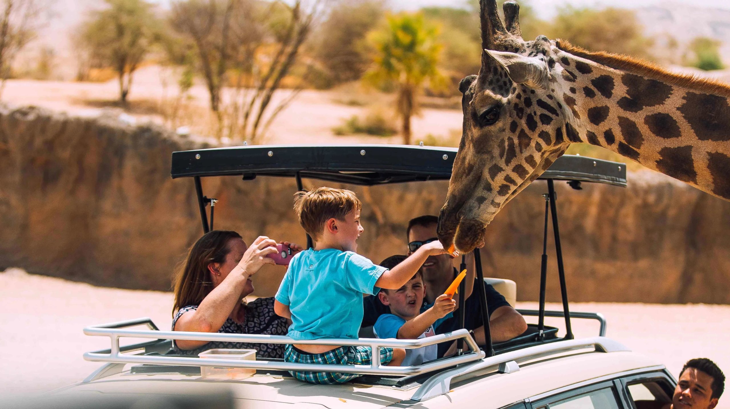 Everything About the Al Ain Zoo Safari