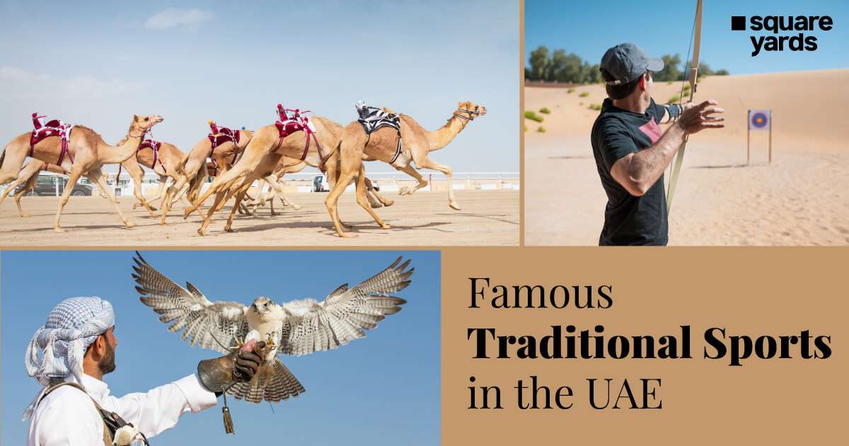 Famous Traditional Sports in The UAE