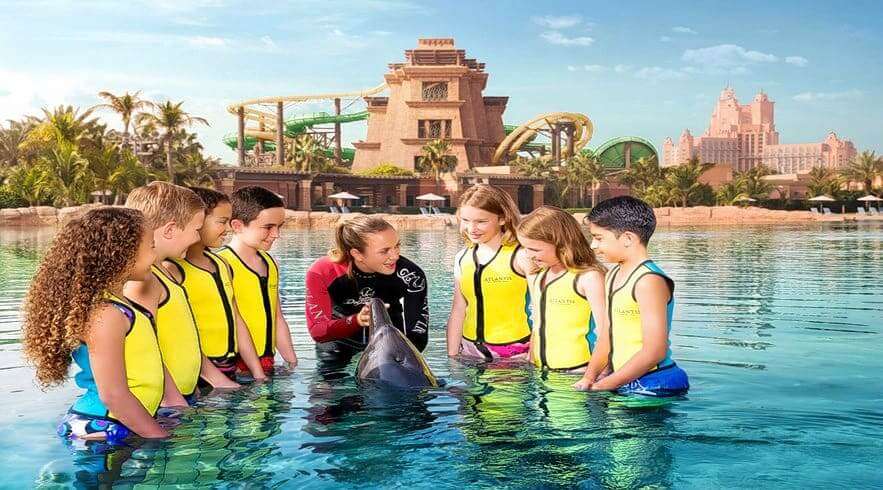 Meet and Greet Dolphins