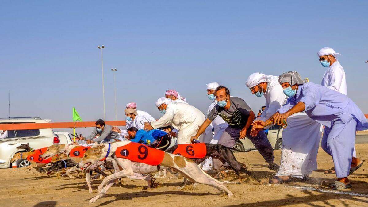 Saluki Racing in UAE
