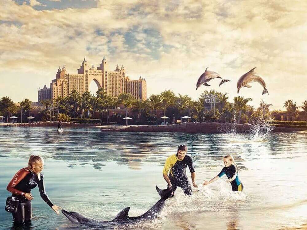 Timings of Dolphin Bay Dubai