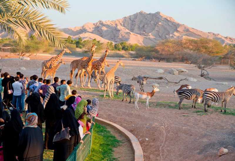 Al-Ain Zoo
