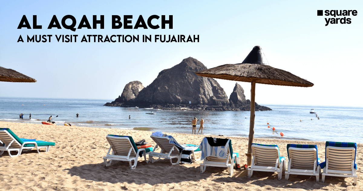 Al Aqah Beach : The Ultimate Holiday Destination in Fujairah