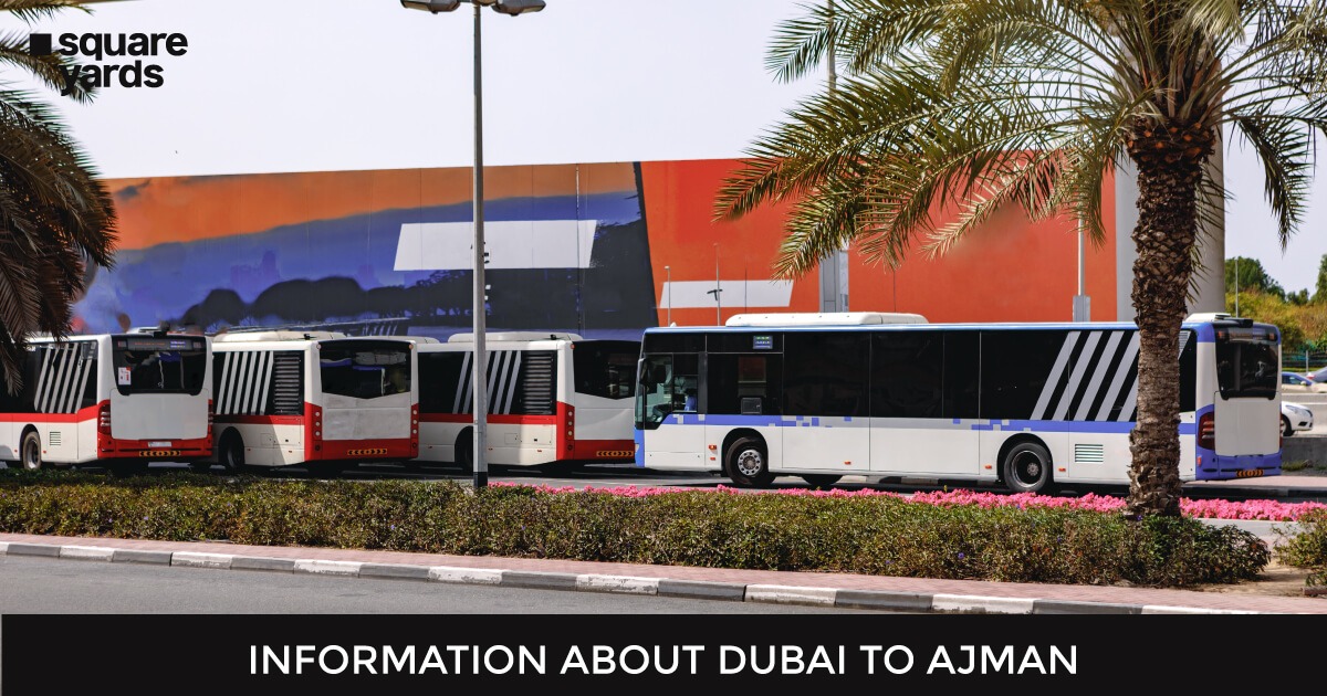 Discover the Easy Way to Travel from Dubai to Ajman with Bus