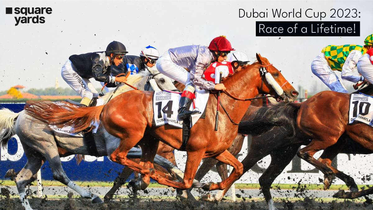 Reign in with the Dubai World Cup 2023 Tales!