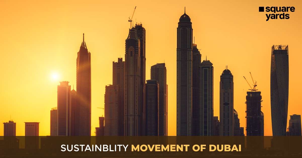 Sustainblity Movement of Dubai