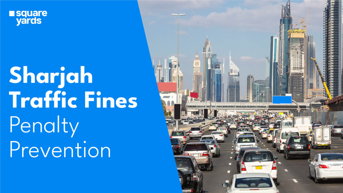Navigate Traffic Fines A Guide to Avoiding Penalties in Sharjah
