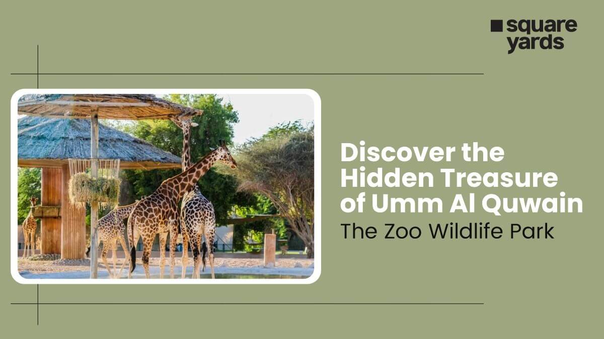 Visit to The Umm Al Quwain