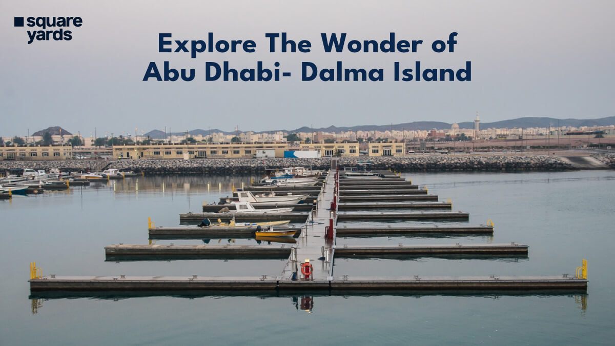 A Visit to Dalma Island, Abu Dhabi