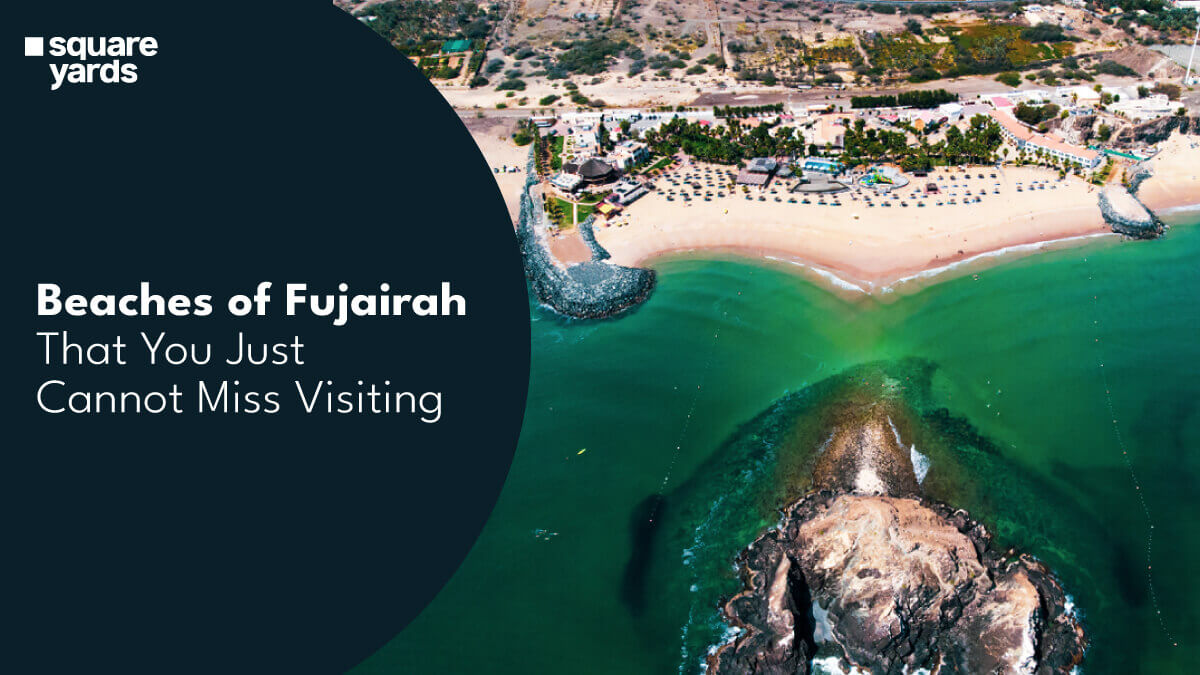 Coastal Journey through the Beaches of Fujairah
