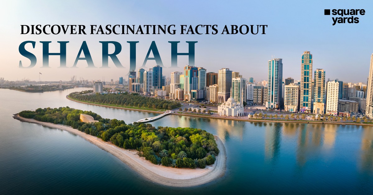 A Tapestry of Time- 18 Interesting Facts About Sharjah