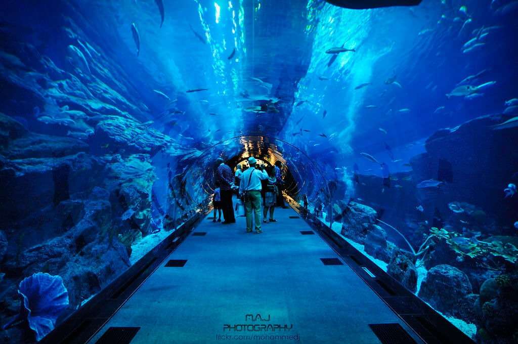 View of Dubai Aquarium